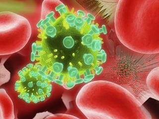 вирус иммунодефицита человека
